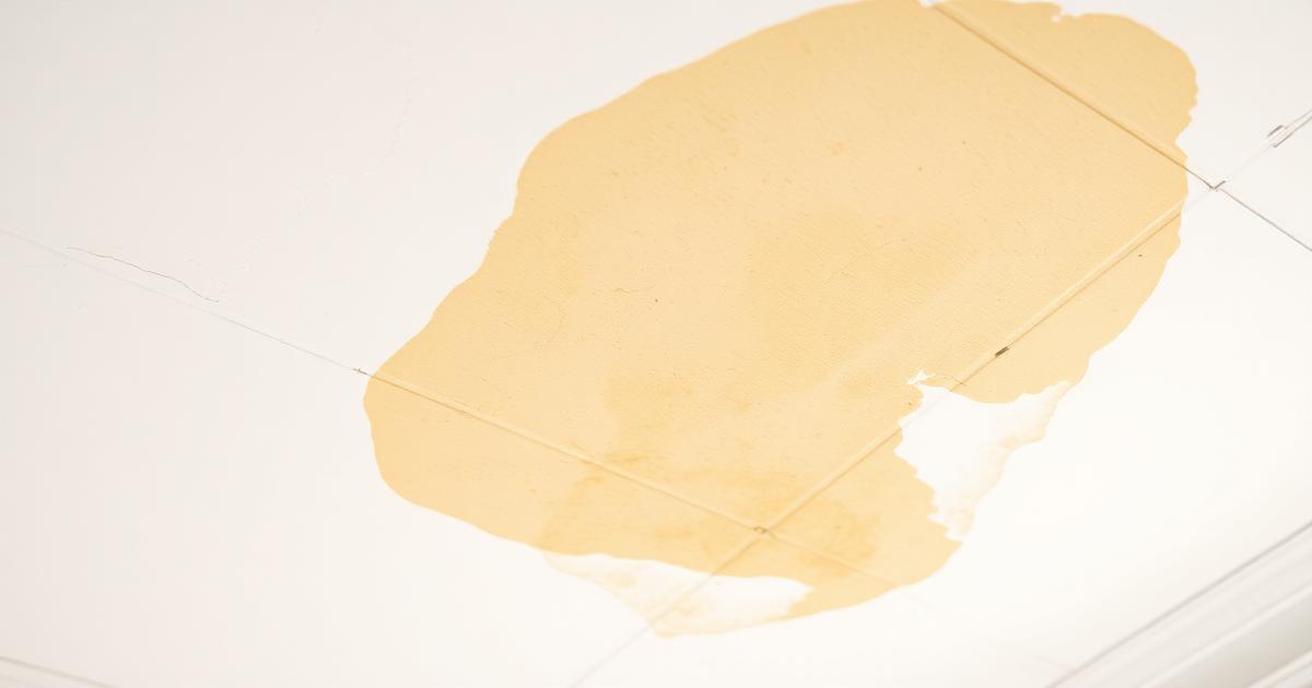 Tache d'humidité au plafond d'un appartement : diagnostic visuel