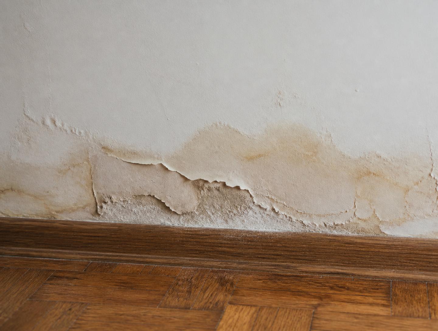 Trace d'humidité sur un mur intérieur, signe d'une fuite invisible